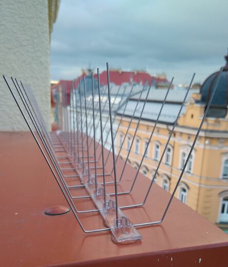 2 hroty proti holubům výškové práce Praha horolezci bodce.j