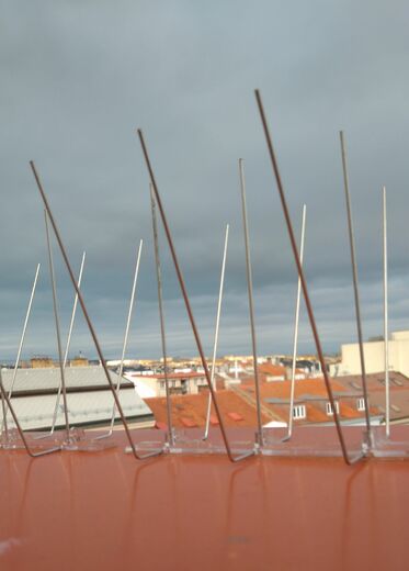 3 hroty proti holubům výškové práce Praha horolezci bodce.j