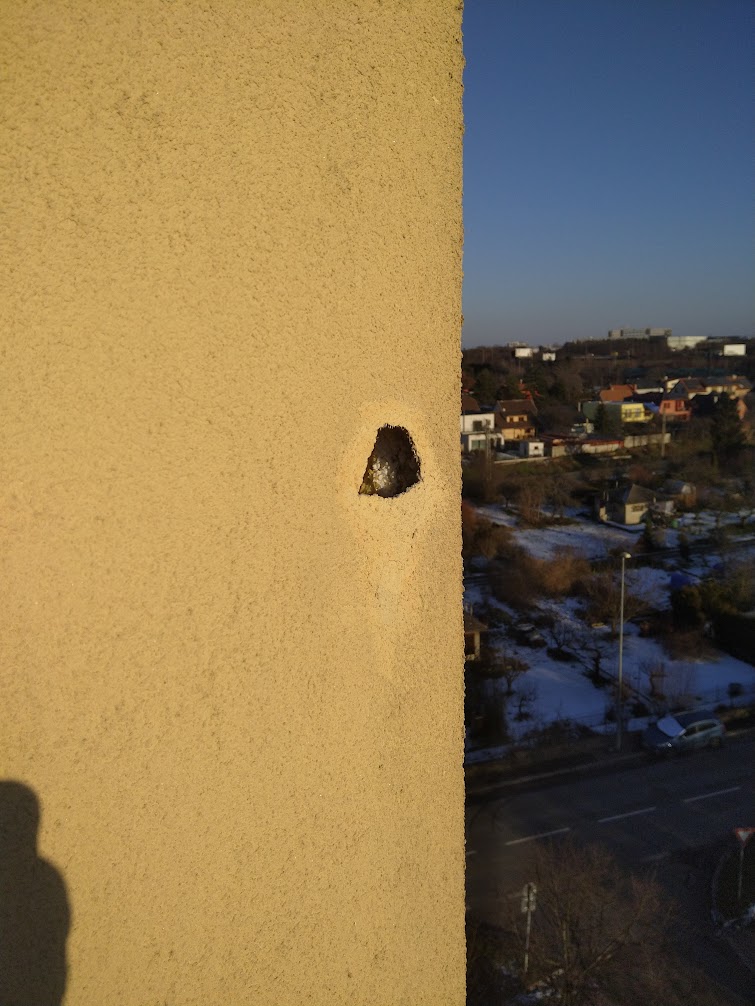 horolezcipraha.cz oprava zateplení fasády po hnízdění ptactva asi strakapoud