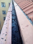 Výškové práce Praha